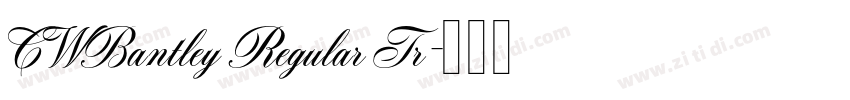 CWBantley Regular Tr字体转换